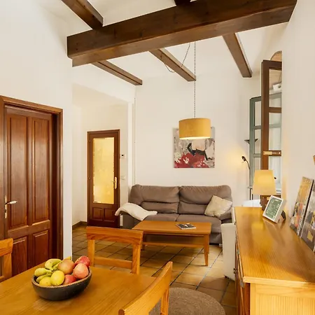 Apartmán Francesc Samso, *